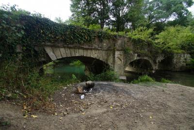 Прикрепленное изображение: A58DSC03577-1.jpg